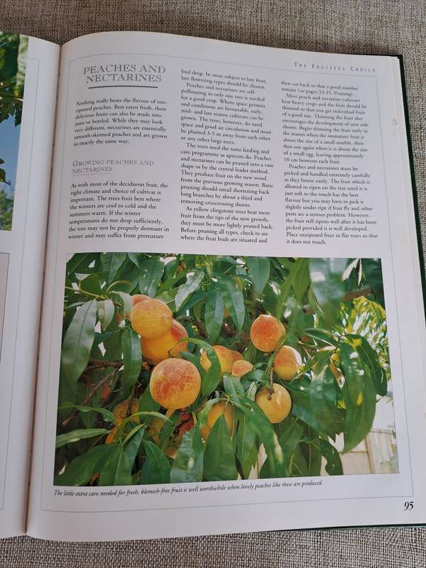 Food From Your Garden  A Southern African guide to growing your own fruit, vegetables and herbs.