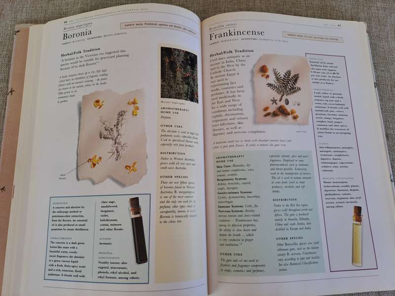 The Illustrated Encyclopedia of Essential Oils - Julia Lawless