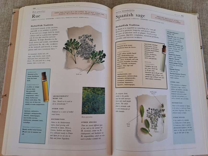 The Illustrated Encyclopedia of Essential Oils - Julia Lawless