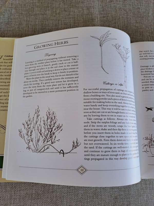 A Celebration of Herbs: for the South African garden & home  Barbara Hey