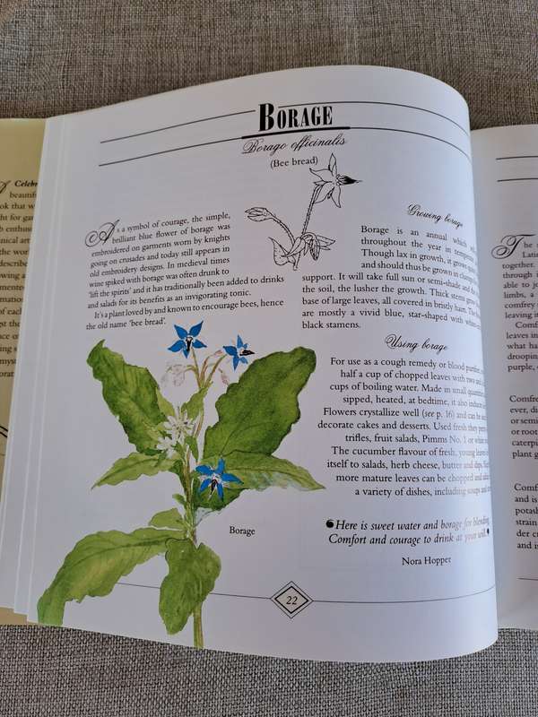 A Celebration of Herbs: for the South African garden & home  Barbara Hey