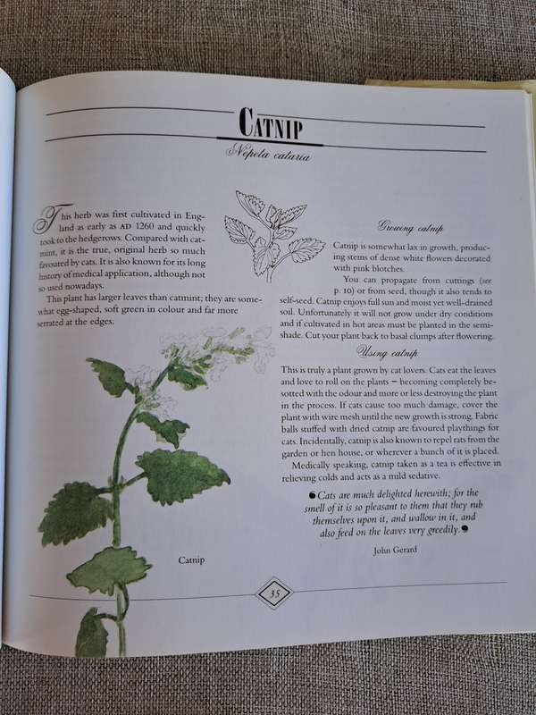 A Celebration of Herbs: for the South African garden & home  Barbara Hey