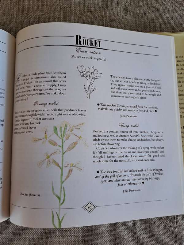 A Celebration of Herbs: for the South African garden & home  Barbara Hey