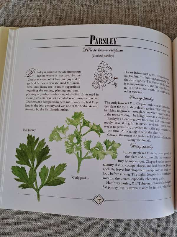 A Celebration of Herbs: for the South African garden & home  Barbara Hey