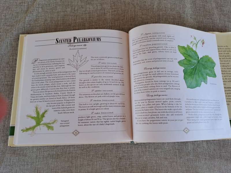 A Celebration of Herbs: for the South African garden & home  Barbara Hey