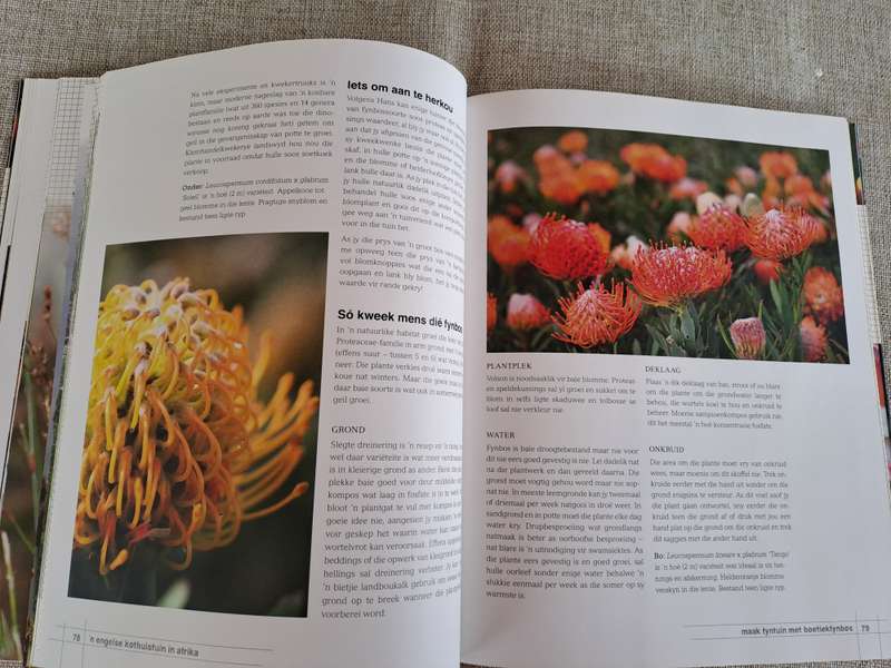 Tuinmaak met Eiegoed - Anna Celliers & Tanya Visser