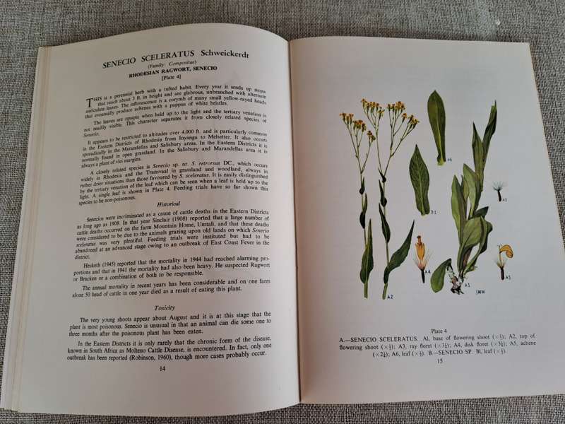 Poisonous Plants of Rhodesia - D.K. Shone & R.B. Drummond