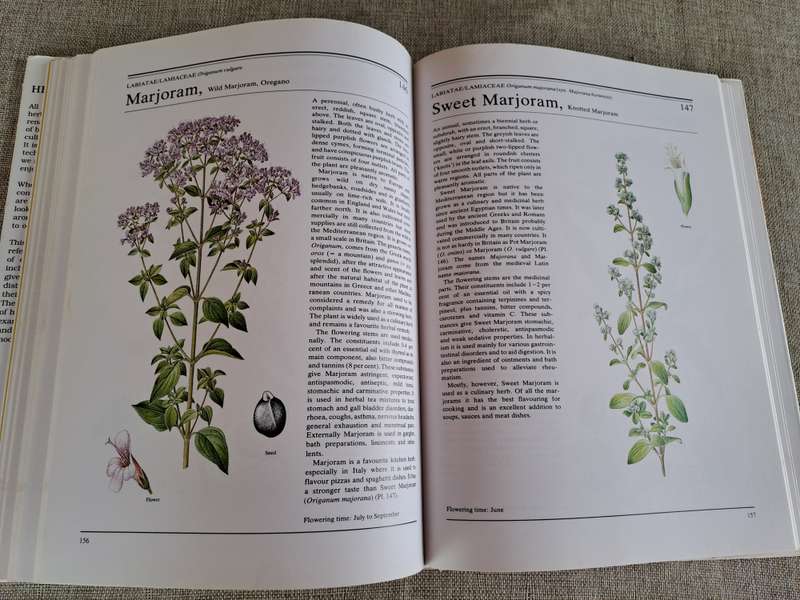 The Illustrated Book of Herbs - Jan Volak & Jiri Stodola. Illustrated by Frantisek Severa