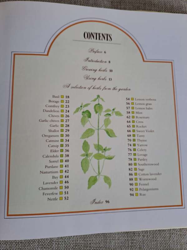 A Celebration of Herbs: for the South African garden & home  Barbara Hey