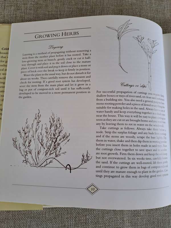 A Celebration of Herbs: for the South African garden & home  Barbara Hey