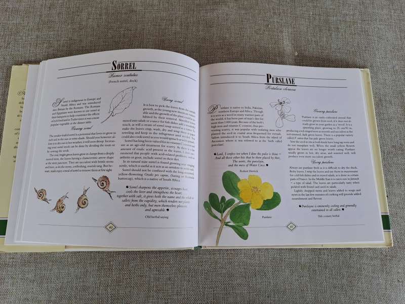 A Celebration of Herbs: for the South African garden & home  Barbara Hey