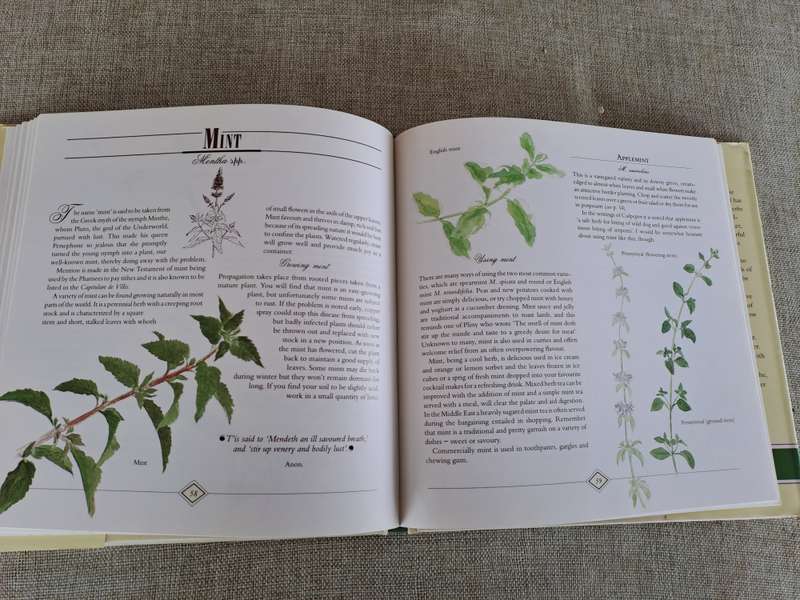 A Celebration of Herbs: for the South African garden & home  Barbara Hey