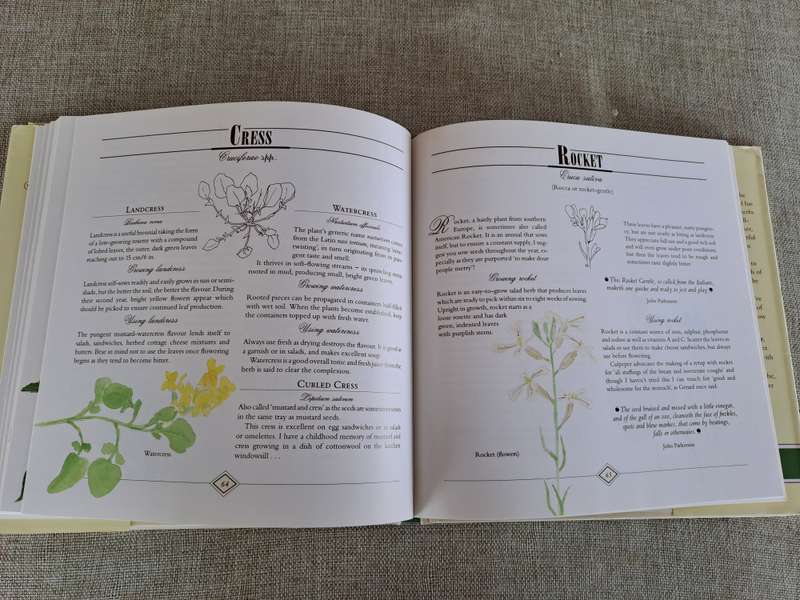 A Celebration of Herbs: for the South African garden & home  Barbara Hey