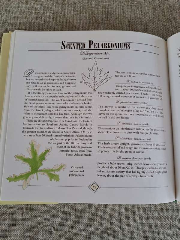 A Celebration of Herbs: for the South African garden & home  Barbara Hey