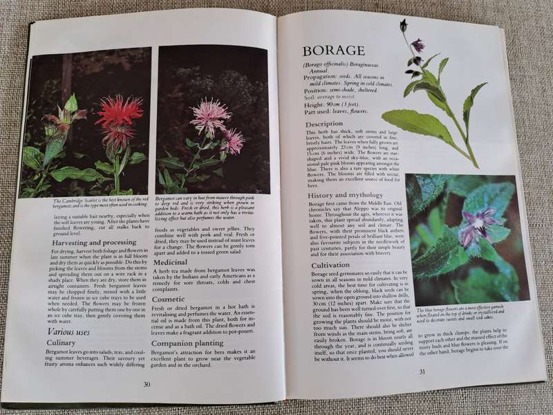 Herbs Their Cultivation and Usage