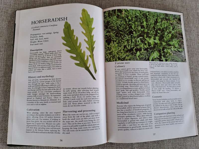 Herbs Their Cultivation and Usage