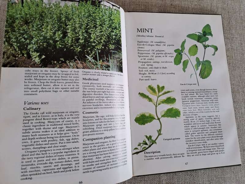 Herbs Their Cultivation and Usage