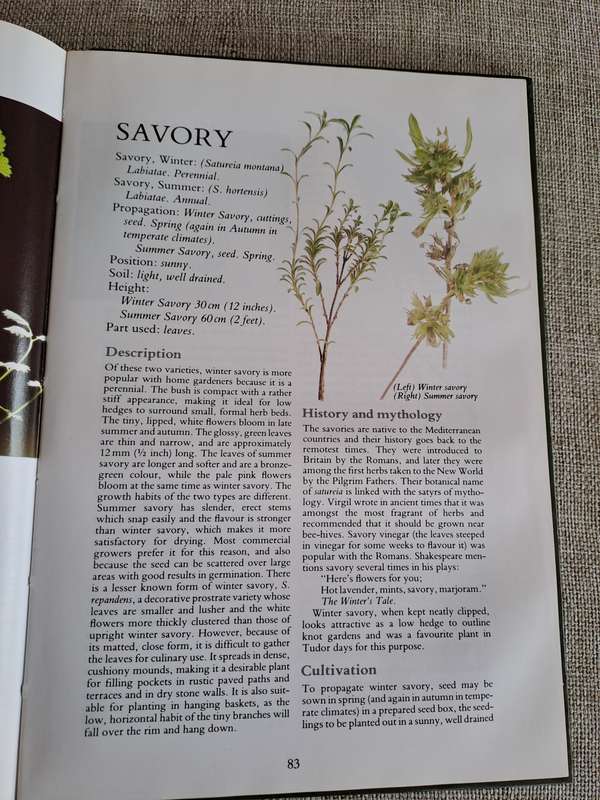 Herbs Their Cultivation and Usage