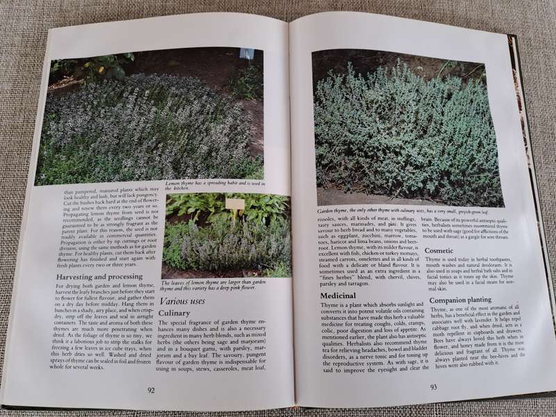 Herbs Their Cultivation and Usage