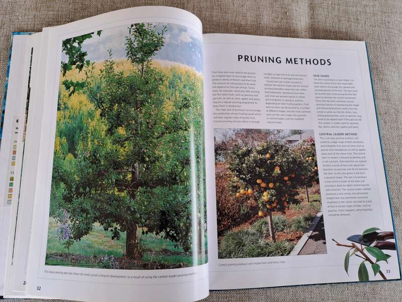 Food from your garden: A Southern African guide to growing your own fruit, vegetables and herbs.