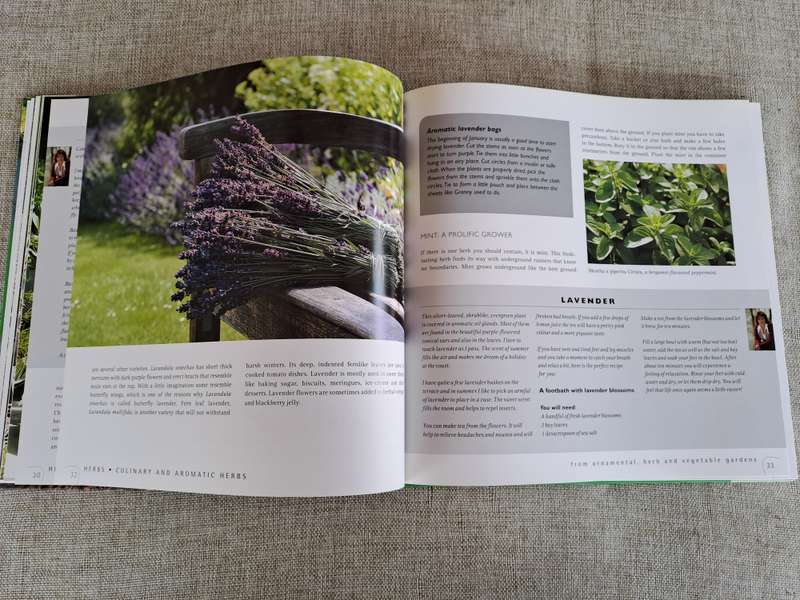 Herbs: Healthy living with herbs from your garden - Ivo Pauwels & Gerty Christoffels