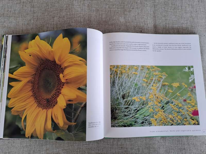Herbs: Healthy living with herbs from your garden - Ivo Pauwels & Gerty Christoffels
