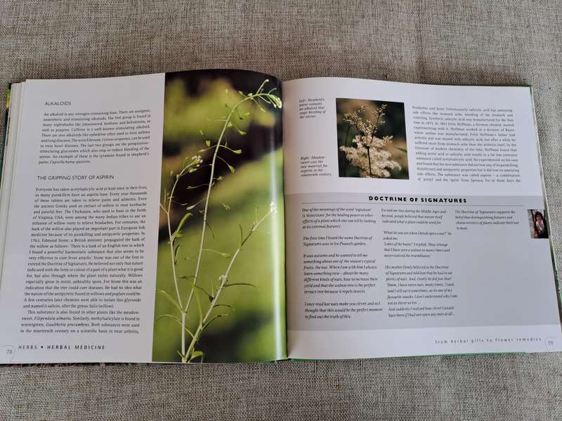 Herbs: Healthy living with herbs from your garden - Ivo Pauwels & Gerty Christoffels