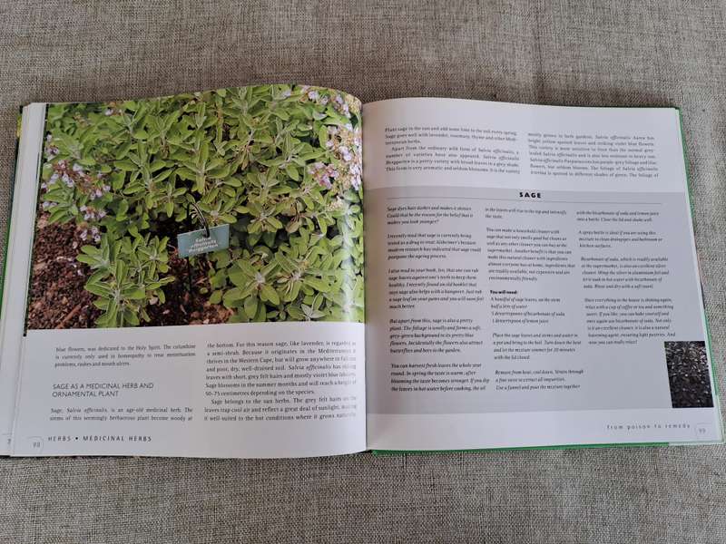 Herbs: Healthy living with herbs from your garden - Ivo Pauwels & Gerty Christoffels