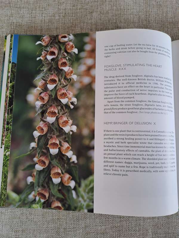 Herbs: Healthy living with herbs from your garden - Ivo Pauwels & Gerty Christoffels
