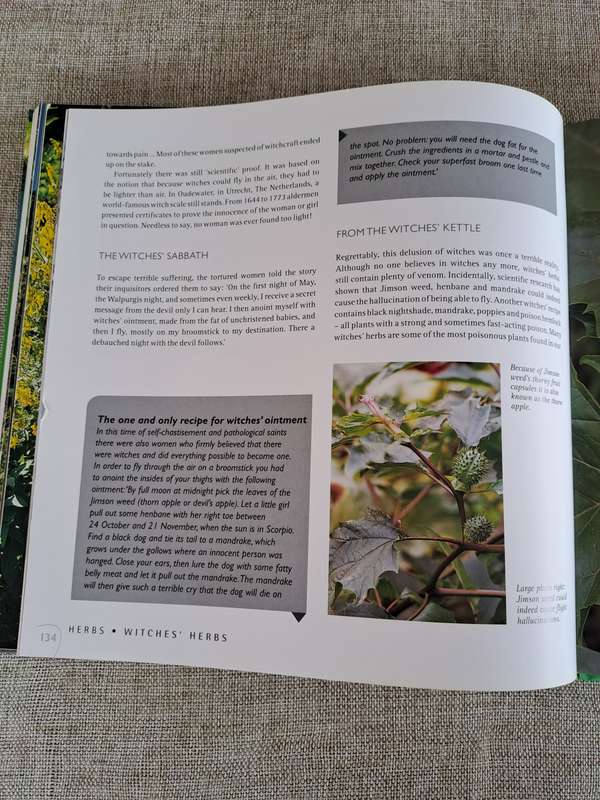 Herbs: Healthy living with herbs from your garden - Ivo Pauwels & Gerty Christoffels