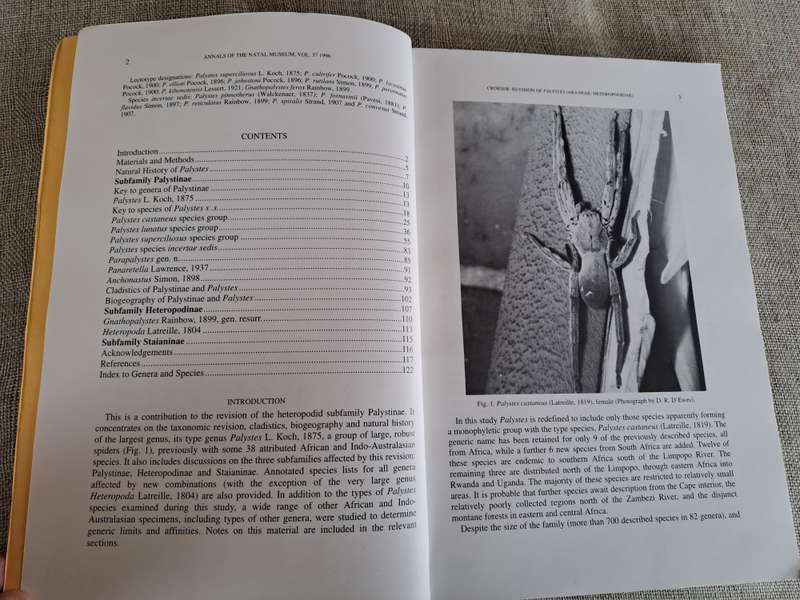 A revision of the African huntsman spider genus Palystes L. Koch, 1875 (Araneae: Heteropodidae)