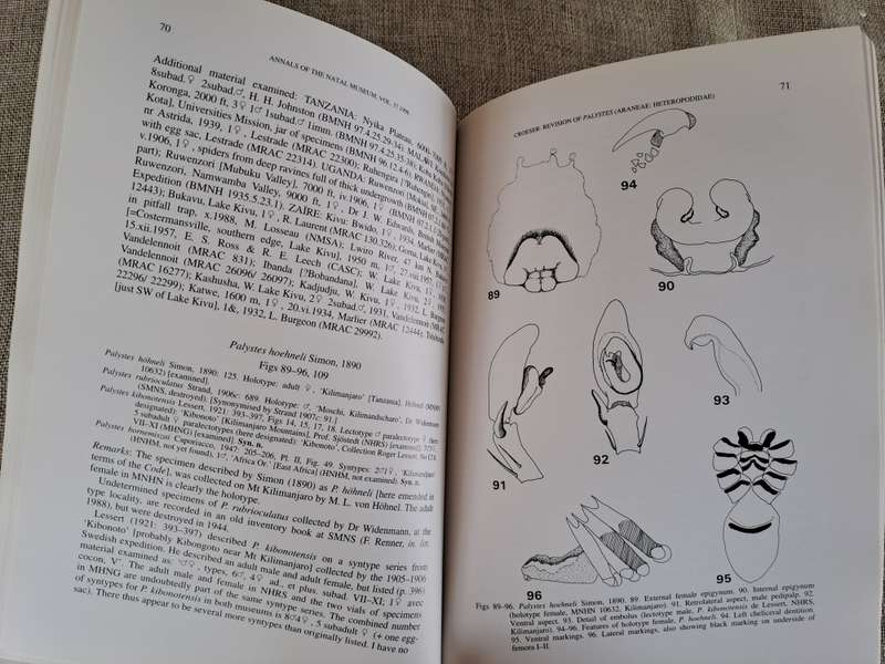 A revision of the African huntsman spider genus Palystes L. Koch, 1875 (Araneae: Heteropodidae)