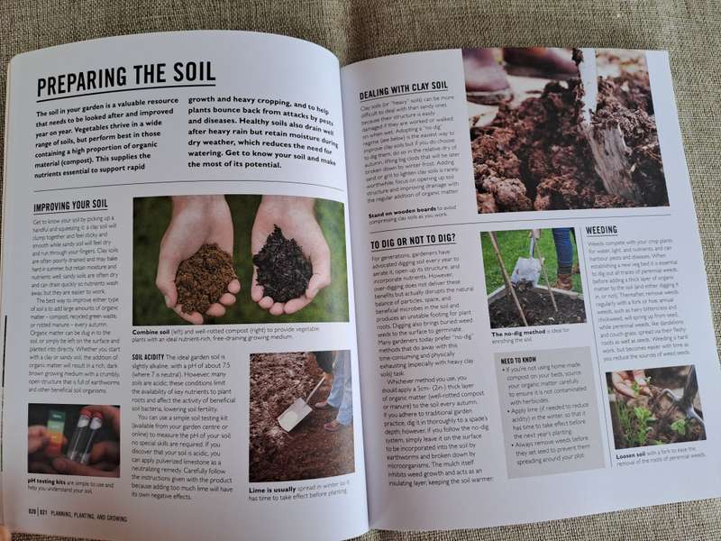 Grow Easy Veg - Jo Whittingham