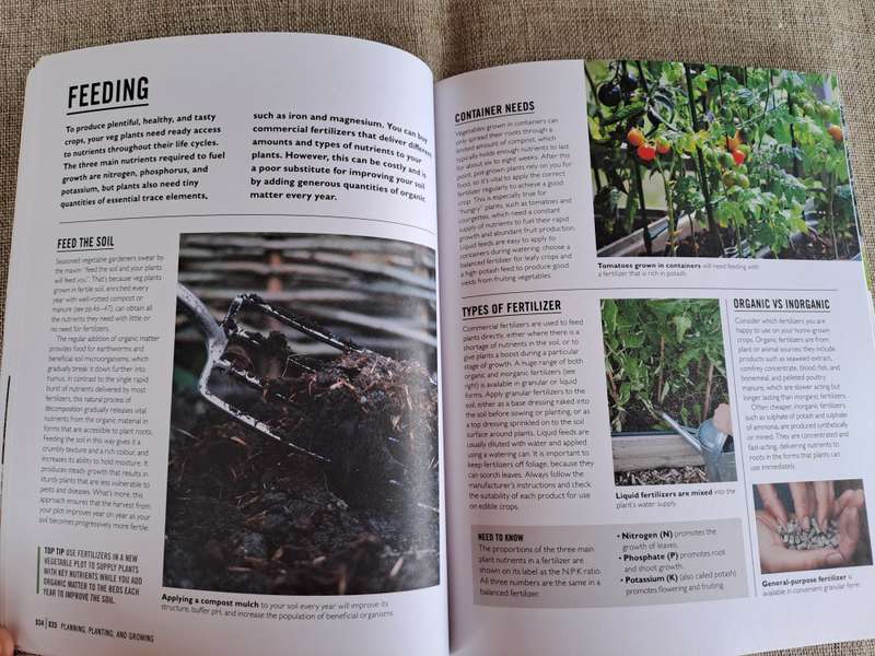 Grow Easy Veg - Jo Whittingham