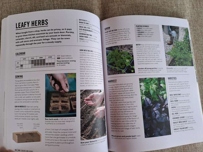 Grow Easy Veg - Jo Whittingham