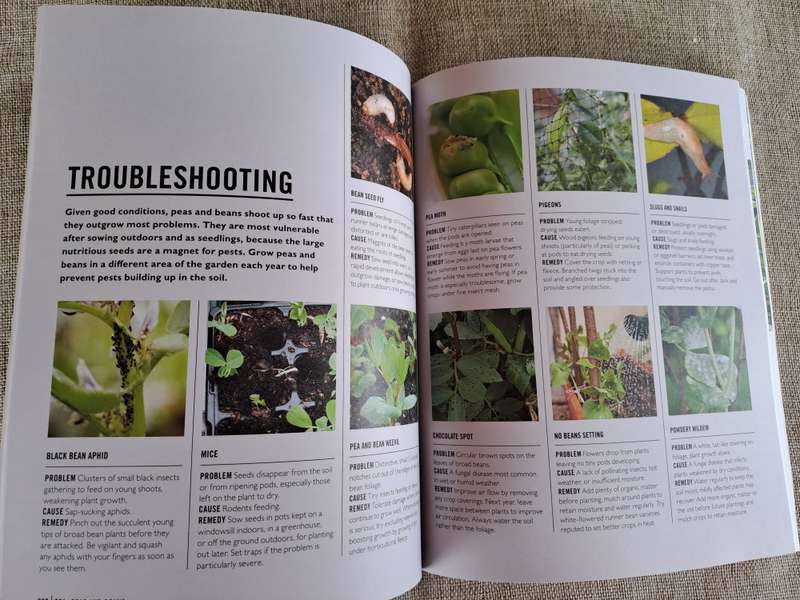 Grow Easy Veg - Jo Whittingham