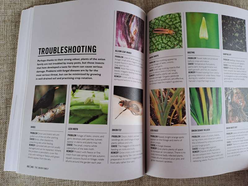 Grow Easy Veg - Jo Whittingham