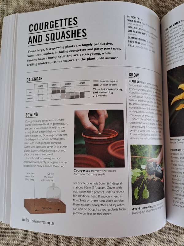 Grow Easy Veg - Jo Whittingham