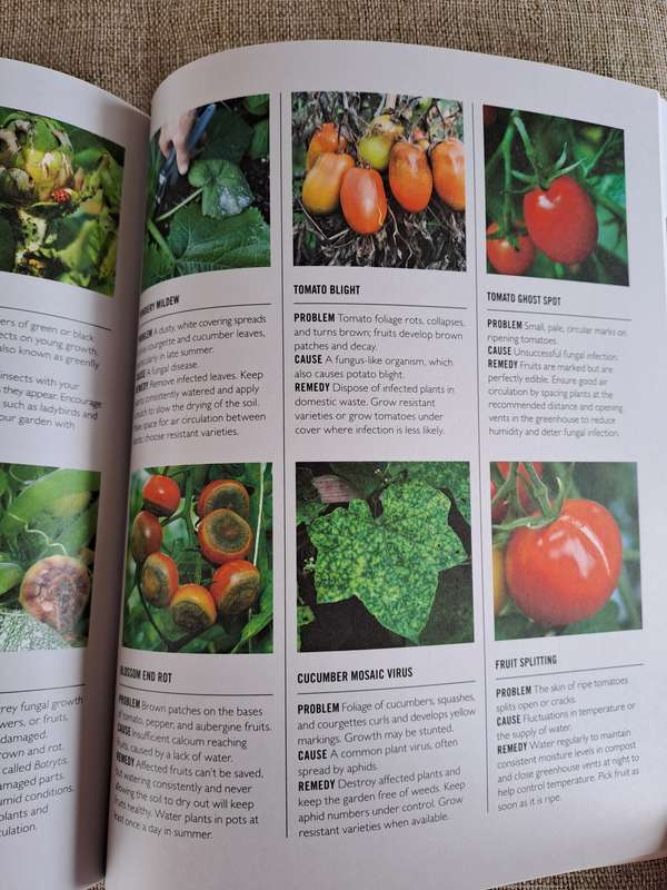Grow Easy Veg - Jo Whittingham