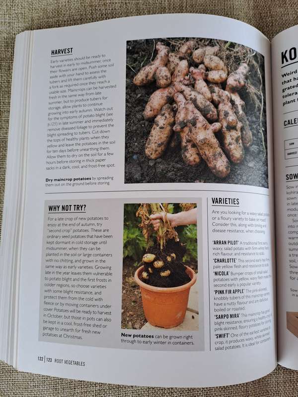 Grow Easy Veg - Jo Whittingham