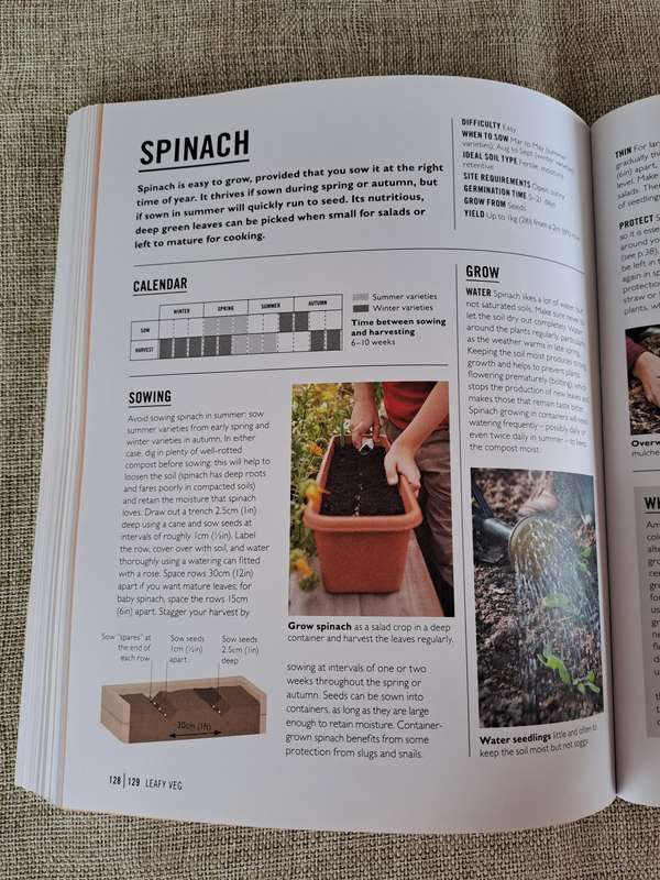 Grow Easy Veg - Jo Whittingham