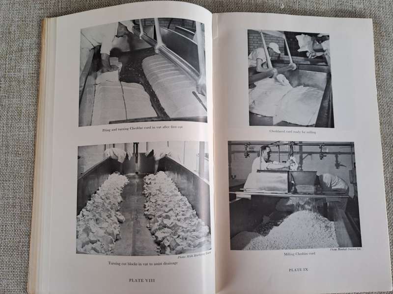 Cheesemaking Bulletin No. 43