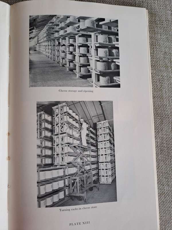 Cheesemaking Bulletin No. 43