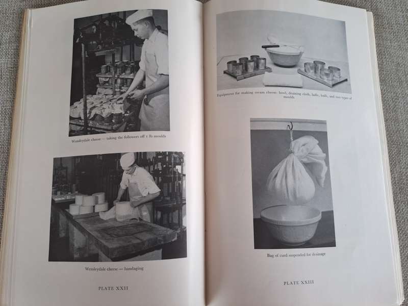 Cheesemaking Bulletin No. 43