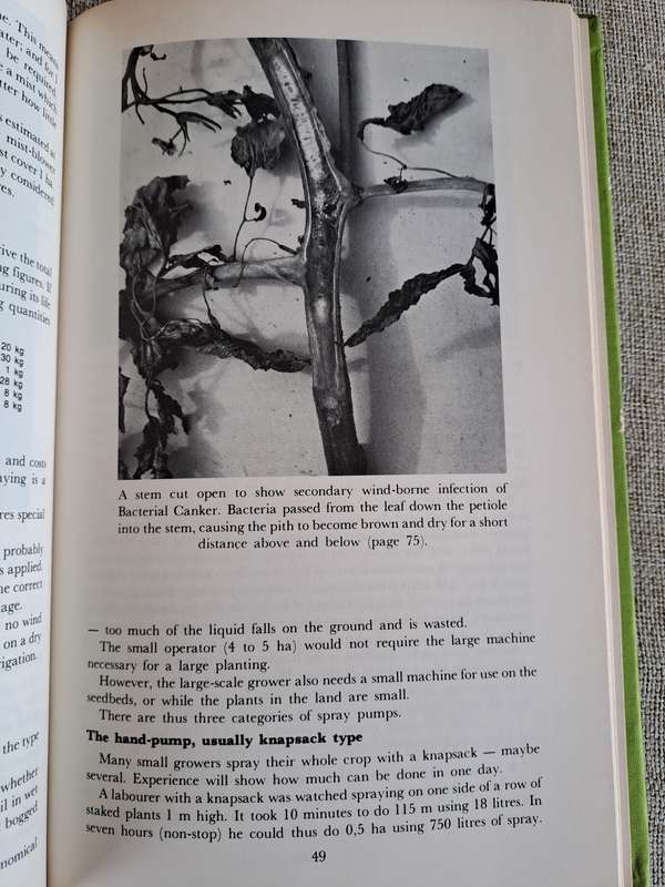 All about Tomatoes 4th Edition - Vincent A. Wager