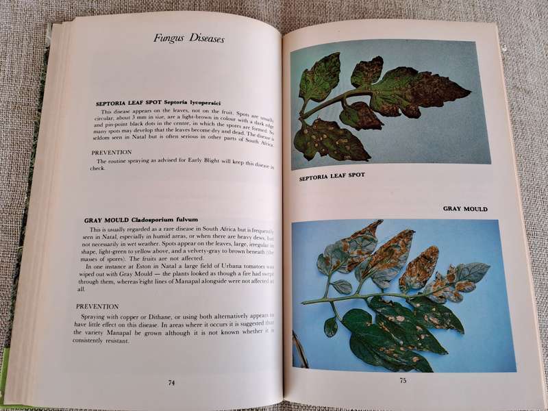 All about Tomatoes 4th Edition - Vincent A. Wager