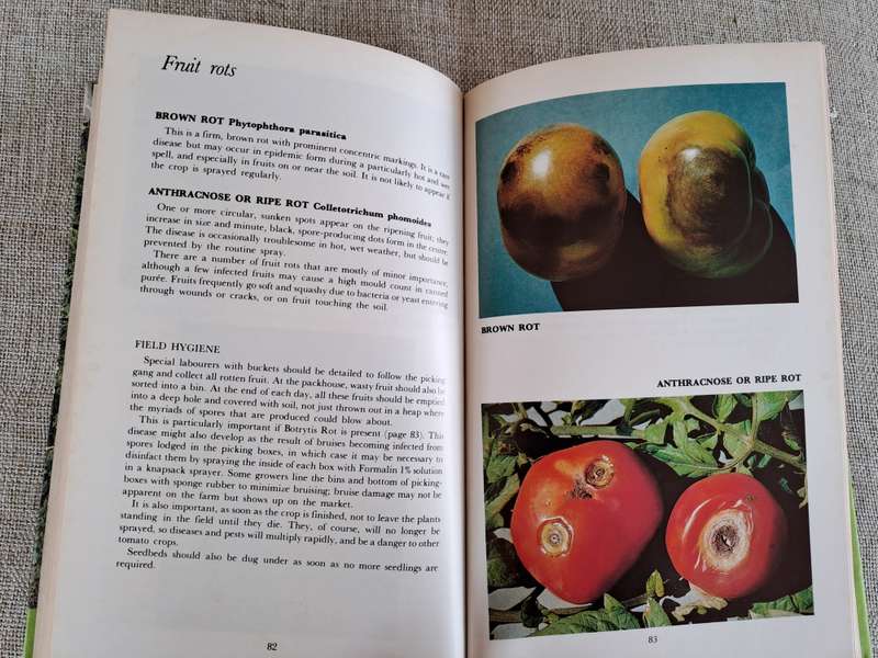 All about Tomatoes 4th Edition - Vincent A. Wager
