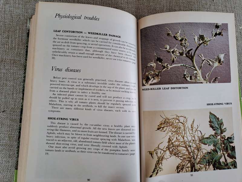 All about Tomatoes 4th Edition - Vincent A. Wager