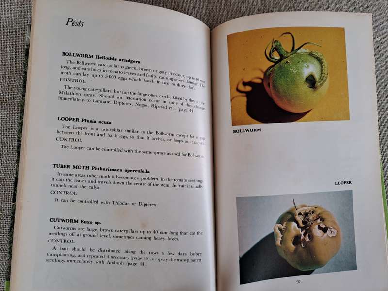 All about Tomatoes 4th Edition - Vincent A. Wager