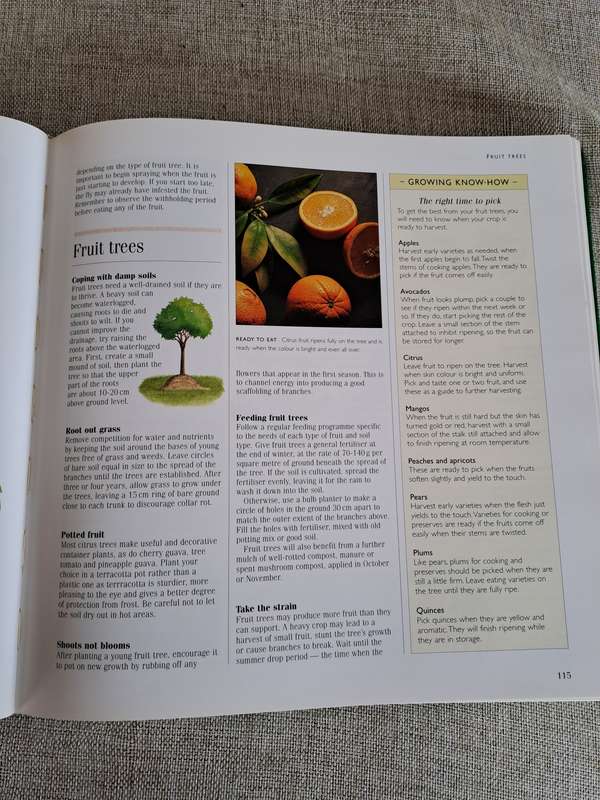 1001 Hints and Tips for your Garden